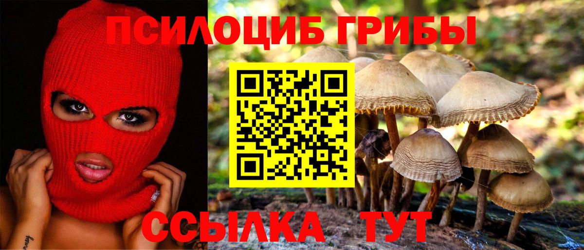 Псилоцибиновые грибы Magic Shrooms  Вход с VPN  Галлюциногенные грибы MAGIC MUSHROOMS  Горячий Ключ 